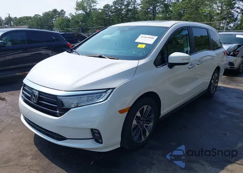 2024 Honda Odyssey Ex-L from USA, damaged, VIN 5FNRL6H67RB056610